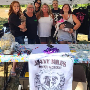 Many Miles Home Dog Rescue Logo