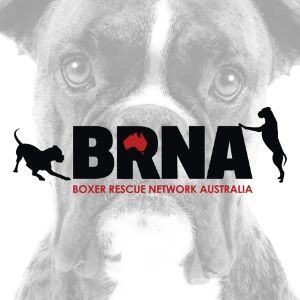 Boxer Rescue Network Australia Logo