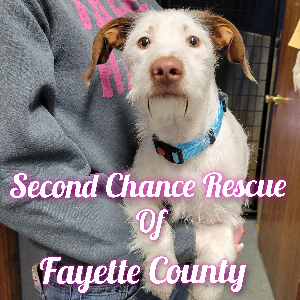 Second Chance Animal Rescue of Fayette County Logo