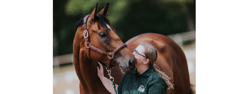 Retraining of Racehorses