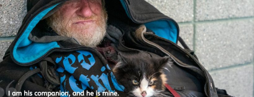 Feeding Pets of the Homeless