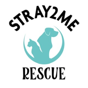 Stray2me Rescue Logo