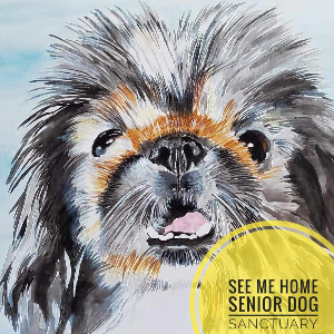 See Me Home Senior Dog Sanctuary Logo