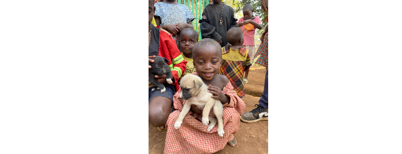 Animal Kind International