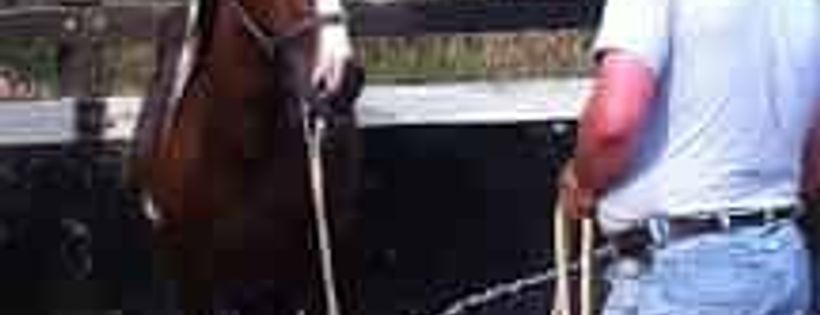 Hoofs2010 inc