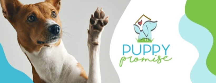 Puppy promise rescue