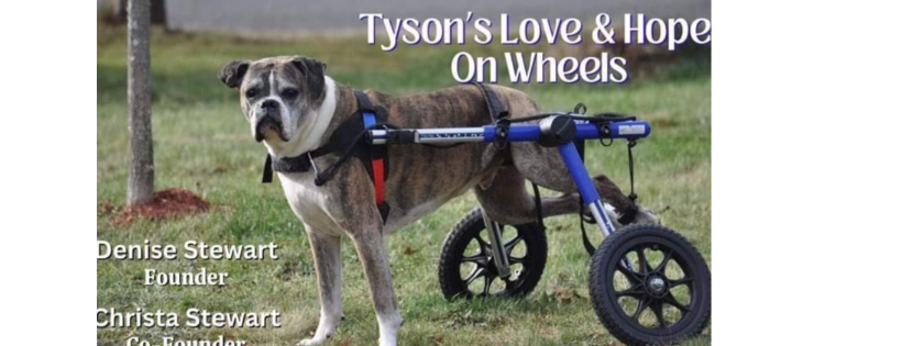 Tyson's love and hope on wheels