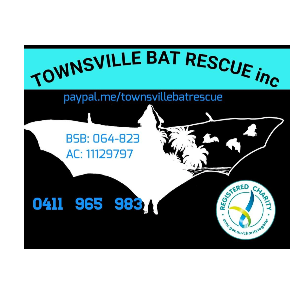 TOWNSVILLE BAT RESCUE AUSTRALIA Logo