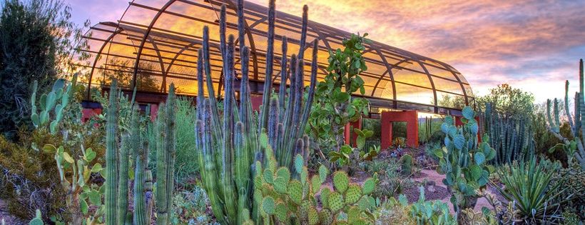 Desert Botanical Garden
