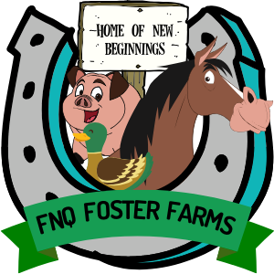 FNQ Foster Farm Inc.