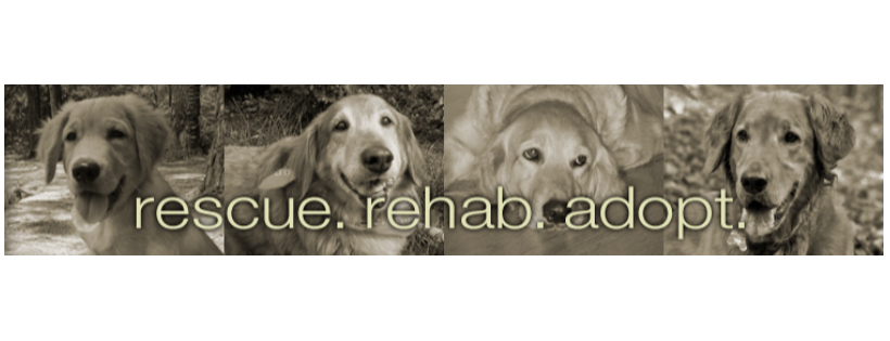 Neuse River Golden Retriever Rescue, Inc.