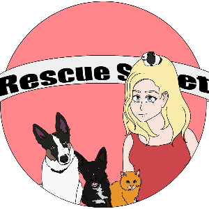 Rescue Street Logo