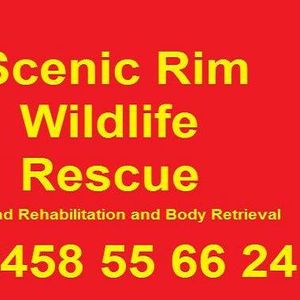 Scenic Rim Wildlife Rescue Logo