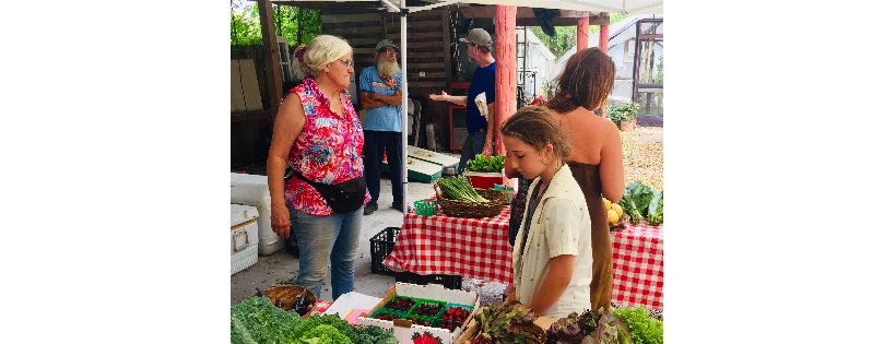 Sweetwater Organic Community Farm
