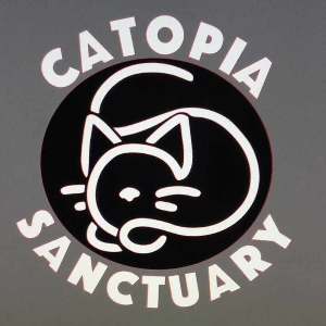 Catopia Cat Sanctuary