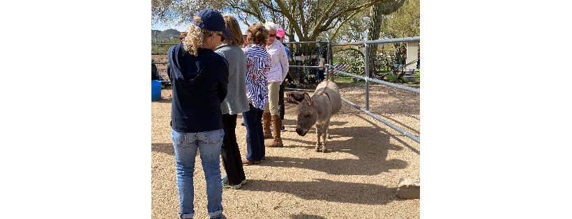 The Donkeys of the Heart