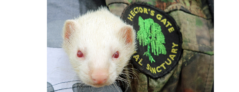 Hectorsgate Animal Sanctuary