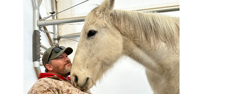 Wardog Ranch Reins of Change