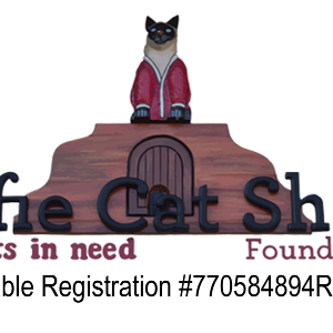 The Comfie Cat Shelter