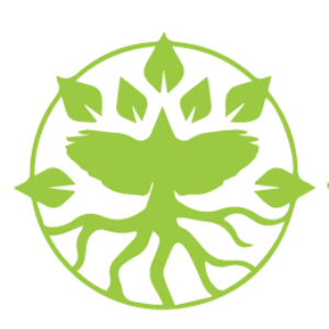 Roots And Wings Inc Logo