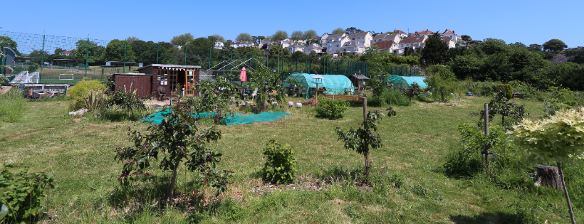 Cricketfield Community Garden