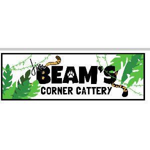 Jim Beam’s Corner Cattery Logo