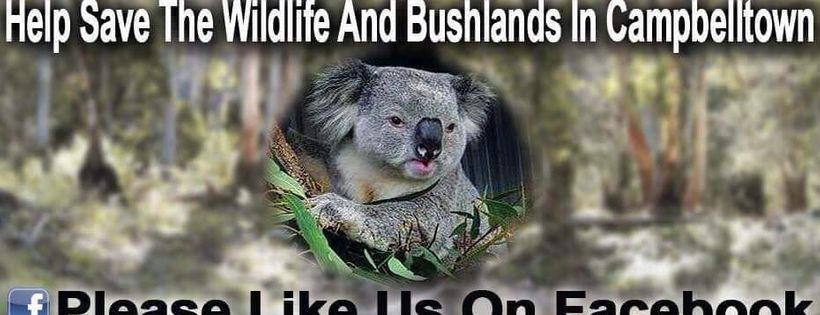 Help Save the Wildlife and Bushlands in Campbelltown