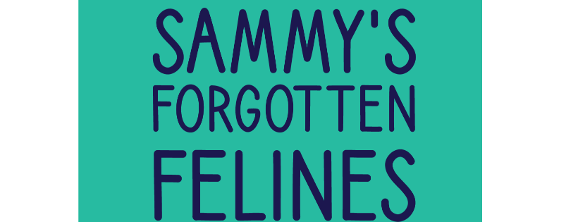 Sammy’s Forgotten Felines