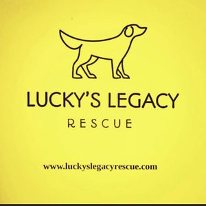 Lucky's Legacy Rescue