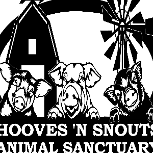 Hooves and Snouts Animal Rescue Logo
