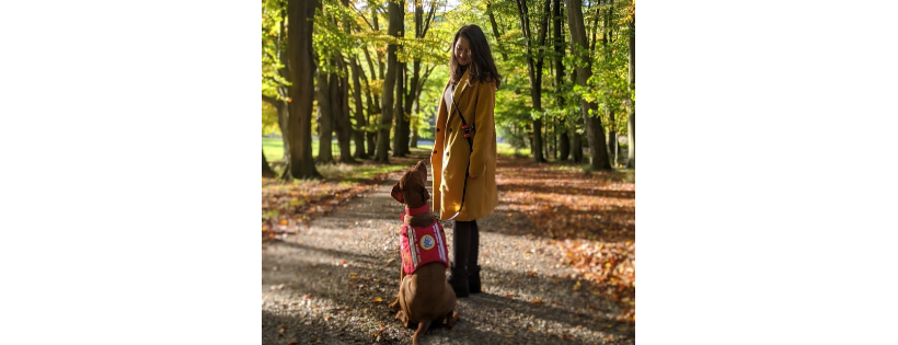 Medical Detection Dogs