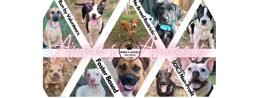 Anna's Angels Dog Rescue