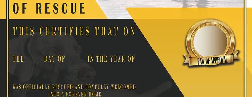 Ontario Weimaraner Rescue and Assistance