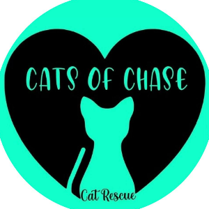 Cats of Chase Logo