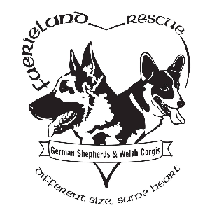 FaerieLand Rescue