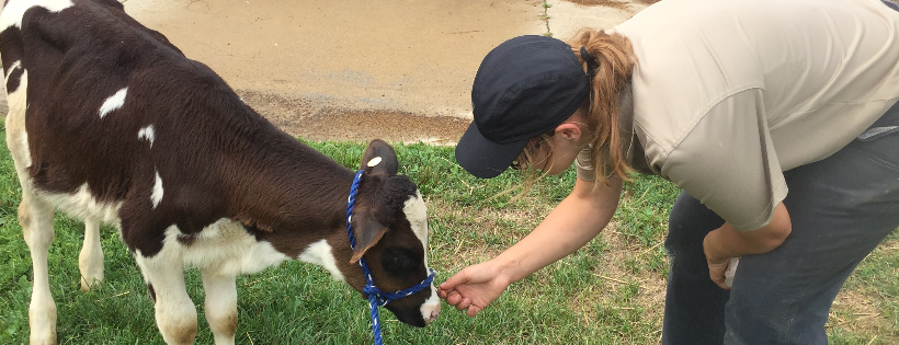 Domino's Farms Petting Farm