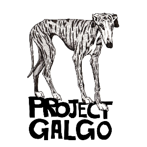 Project Galgo Logo