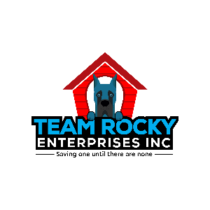 Team Rocky Enterprises Inc (SRGDRR) Logo
