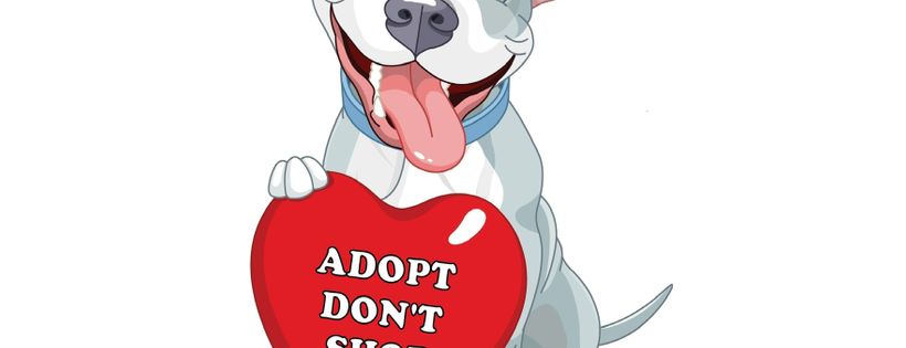 Southern California Pit Bull Rescue