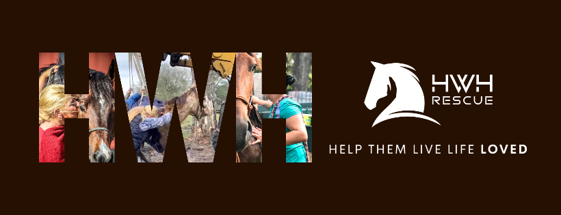 Horses Without Humans Rescue