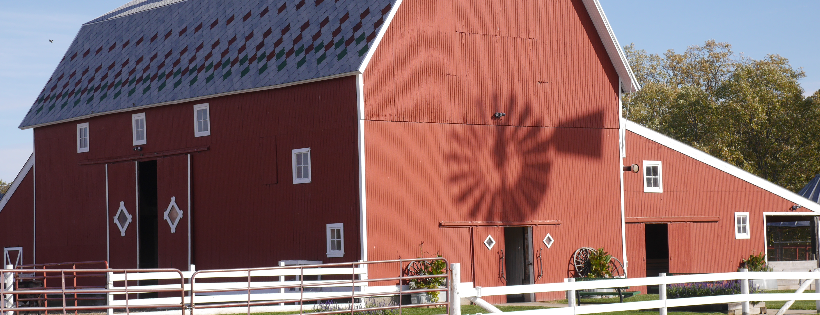 Domino's Farms Petting Farm