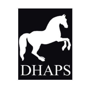 Devon horse and pony sanctuary