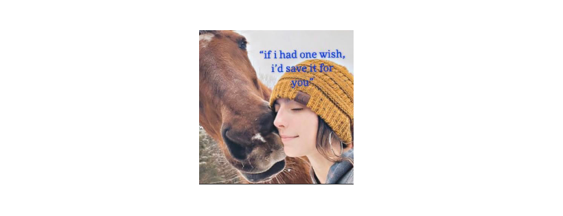 One wish Equine Rescue