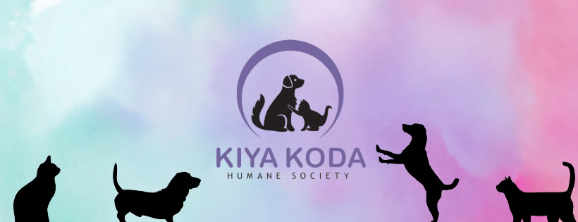 Kiya koda animal shelter indianola Iowa