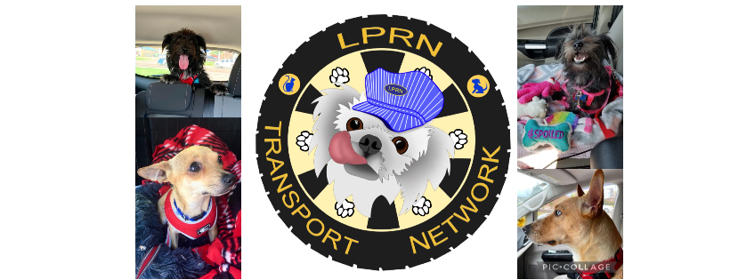 Lucky Penny Rescue Network Inc