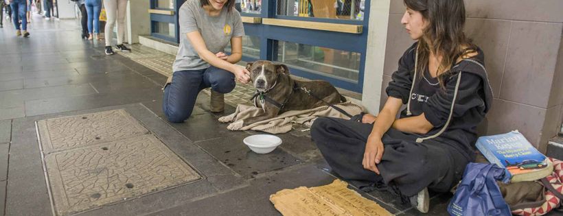 Pets Of The Homeless Ltd