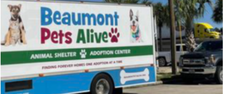 Beaumont Pets Alive