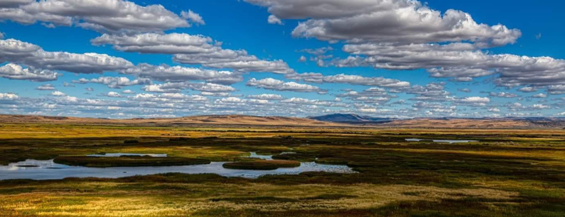 Friends of Malheur NWR