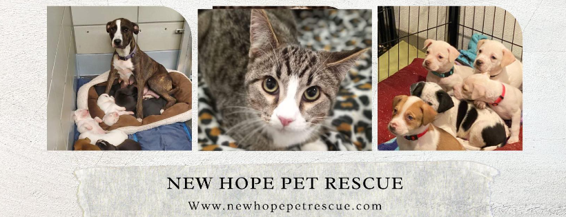 New Hope Pet Rescue - Michigan