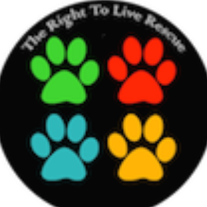 They Have The Right To Live Rescue